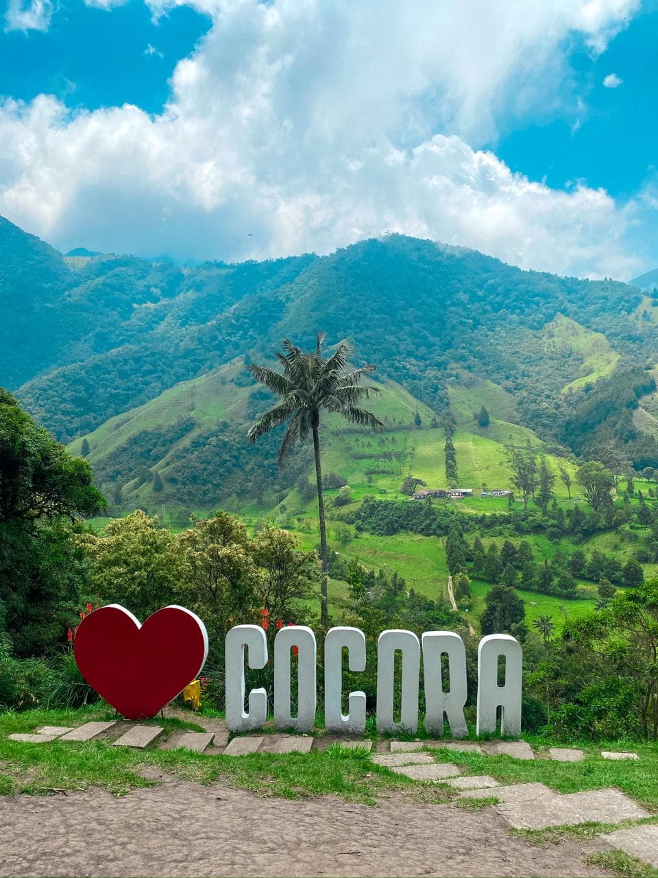 Valle del Cocora