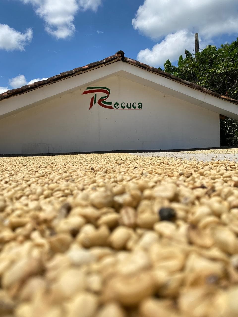 Recuca