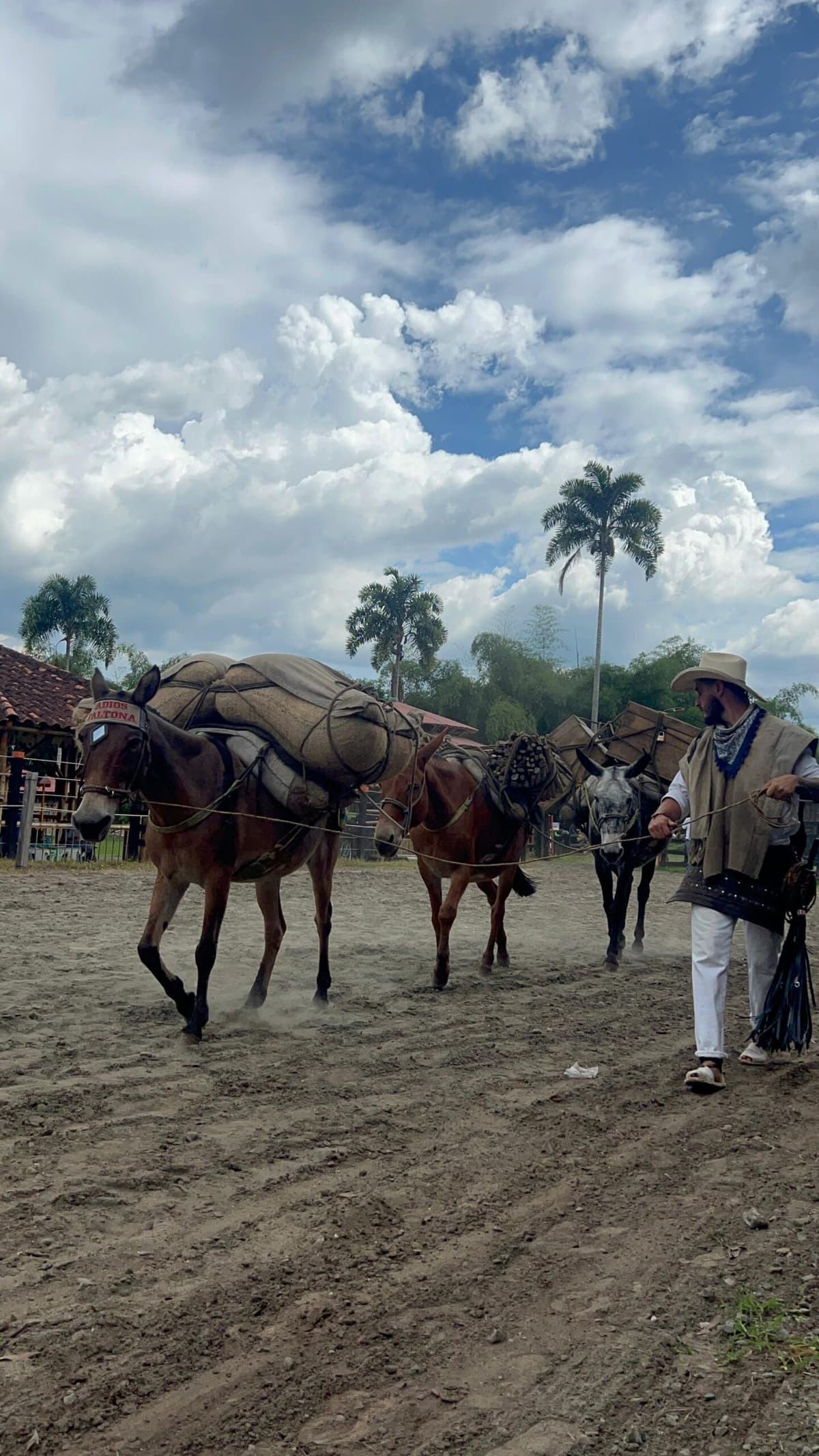 Parque Los Arrieros