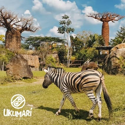 Bioparque Ukumarí